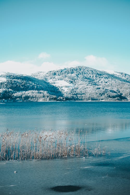A lake with snow and water in the background
