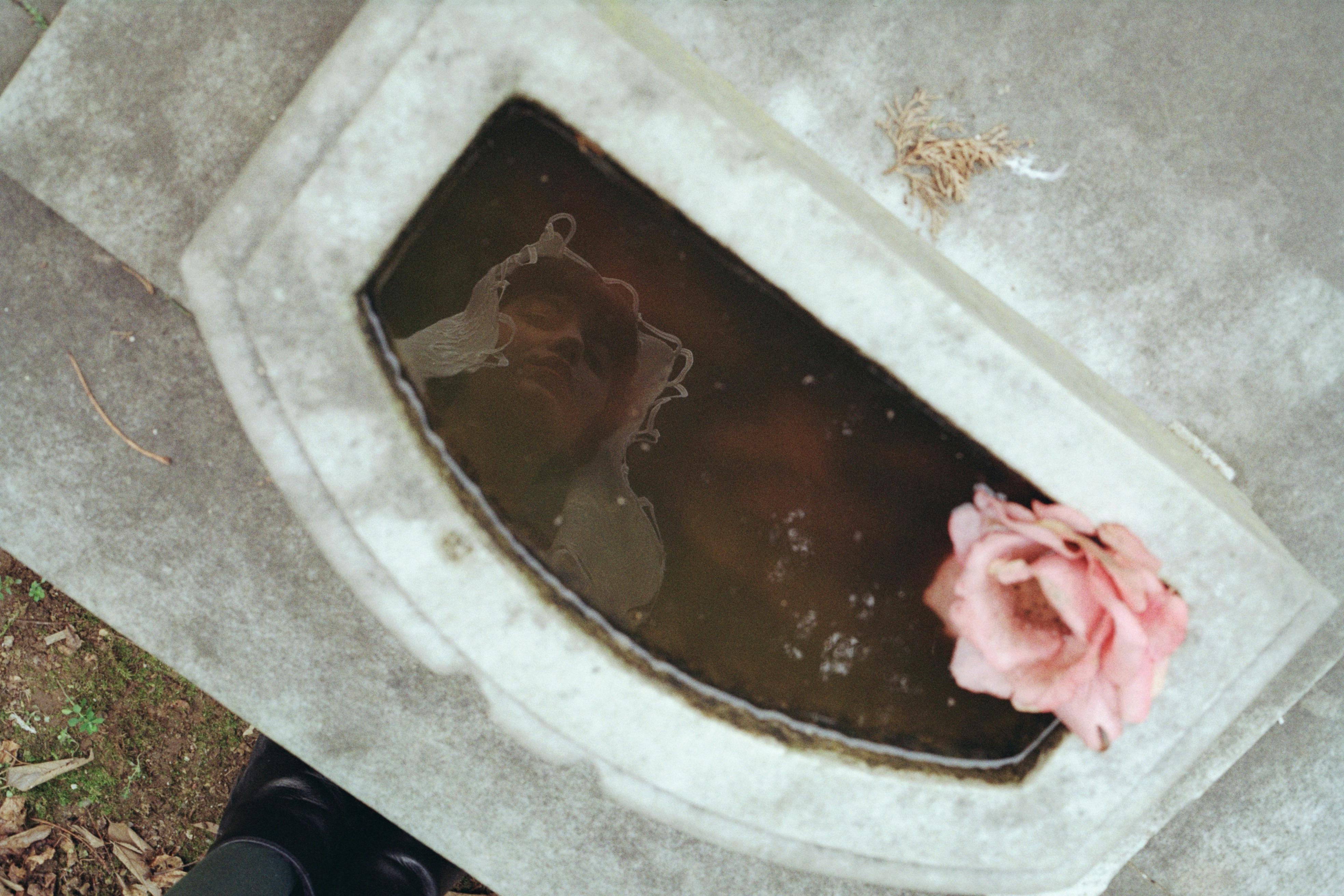 A serene reflection of a woman beside a pink rose in a stone water feature.