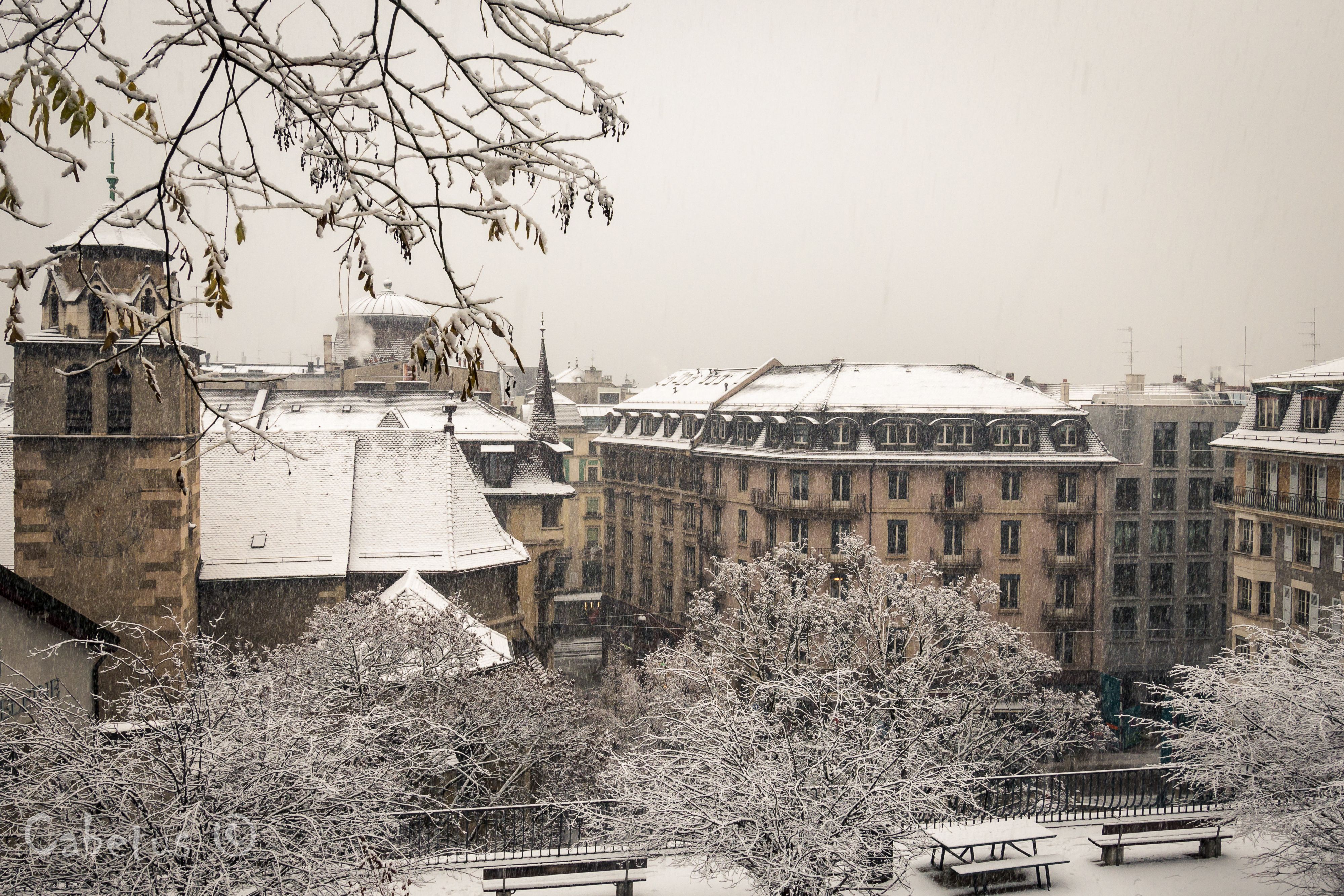 Winter scene capturing snow-covered historic buildings and trees in Geneva, Switzerland. - Ginebra