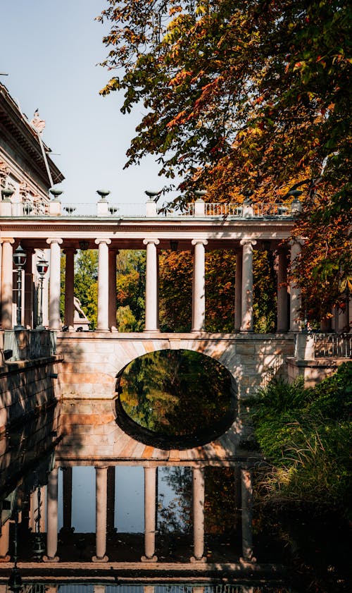 Immagine gratuita di acqua, autunno, cadere