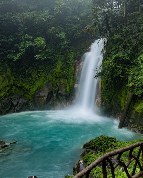 Turquoise Water and Waterfall in a Rainforest
