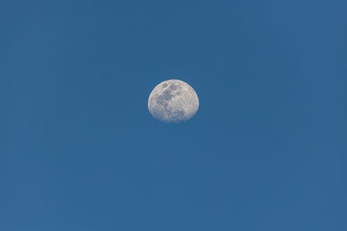 Gratis lagerfoto af blå himmel, lavvinkelskud, måne