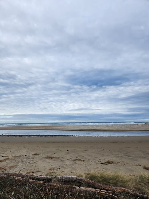 Immagine gratuita di cielo coperto, litorale, mare