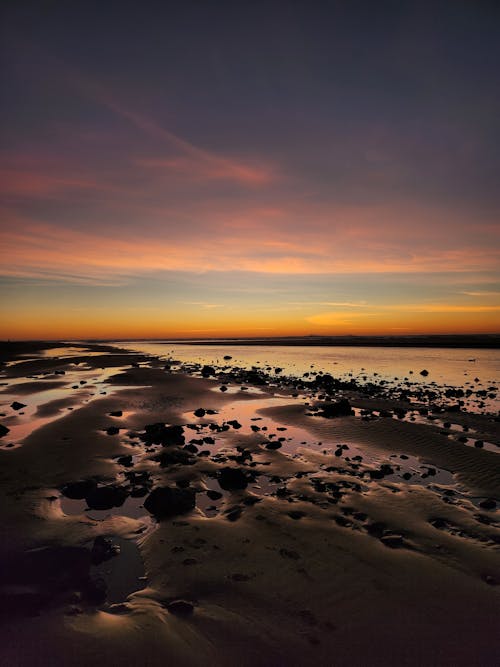 Pinkish Shore with Wet Sand at Dusk