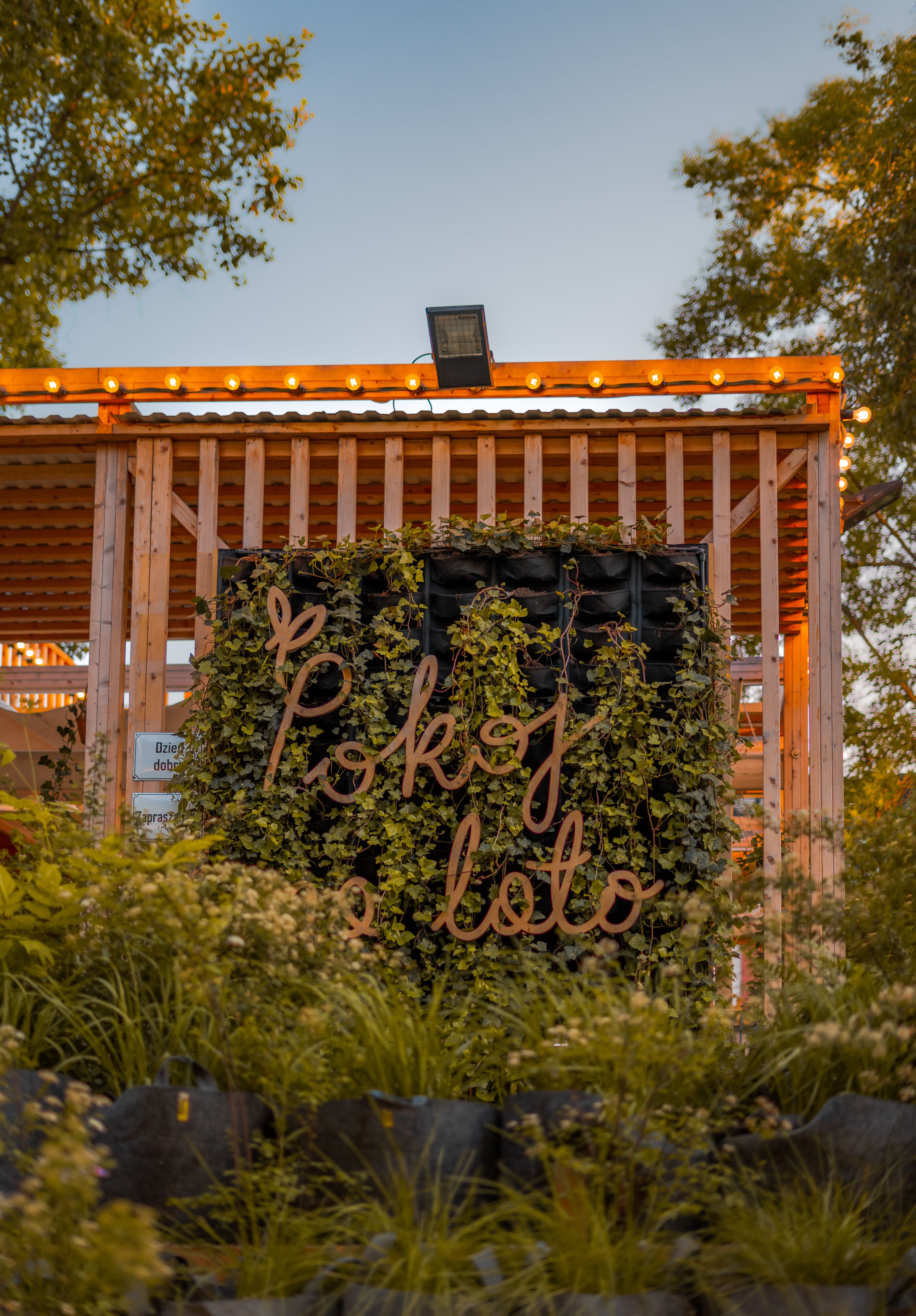 Charming café exterior with greenery during a summer evening, perfect for outdoor gatherings.