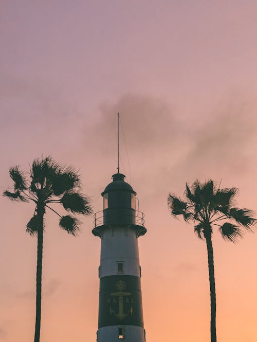 Palm Trees and Lighthouse