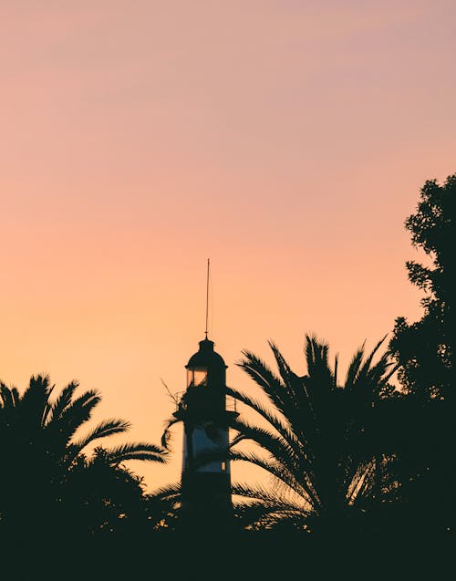 Silhouetted Lighthouse and Palm Trees against Pink Sky 