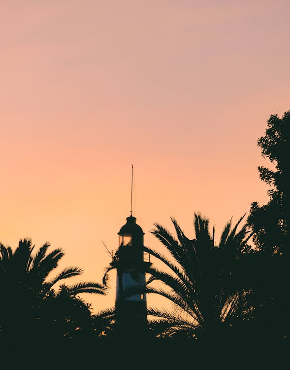 Silhouetted Lighthouse and Palm Trees against Pink Sky 