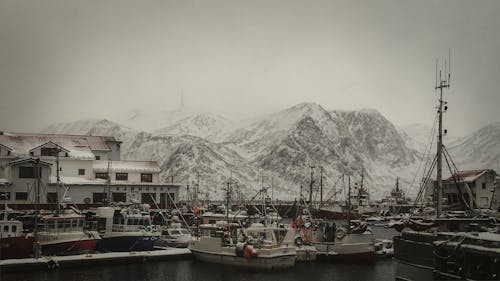 Fotos de stock gratuitas de amarrado, barca, invierno