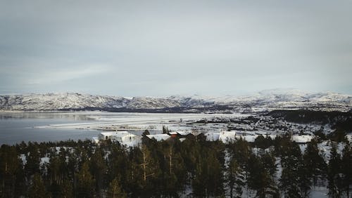 Town and Forest and Mountains