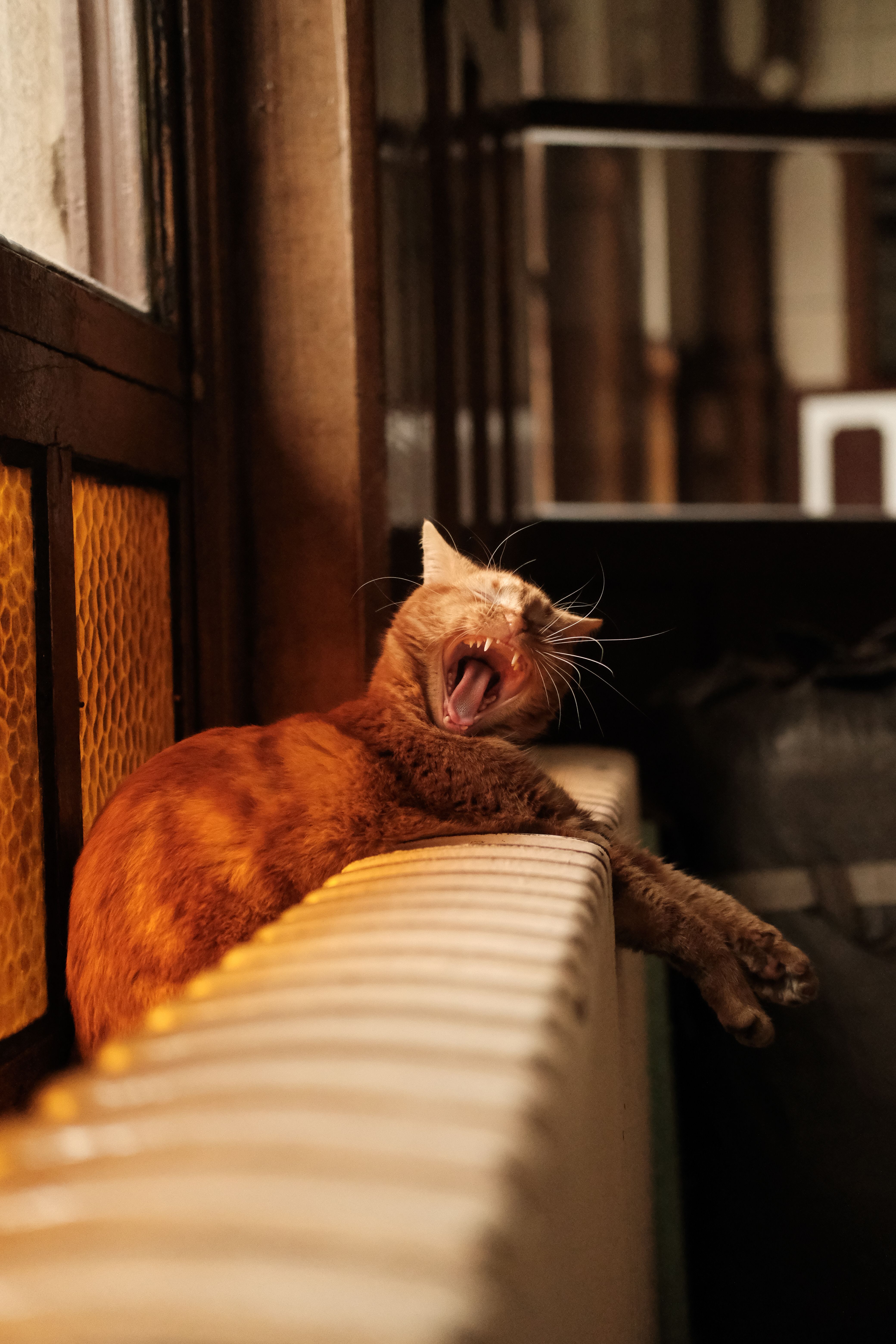 A ginger cat comfortably yawning while lying on a warm radiator indoors in Istanbul.