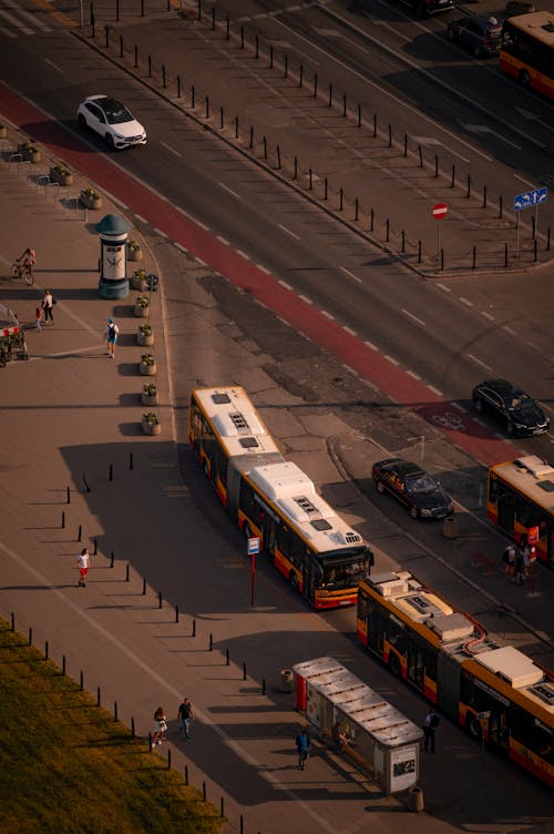 Fotos de stock gratuitas de autobuses, calle, calles de la ciudad