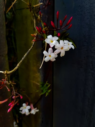 教师节贺卡词幼儿园 幼儿园教师节贺卡语