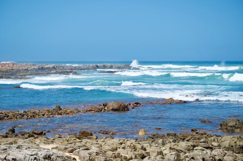 Foto profissional grátis de beira-mar, costa, horizonte