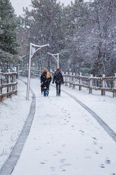 Two people walking through a snow-covered footpath in a tranquil winter forest.