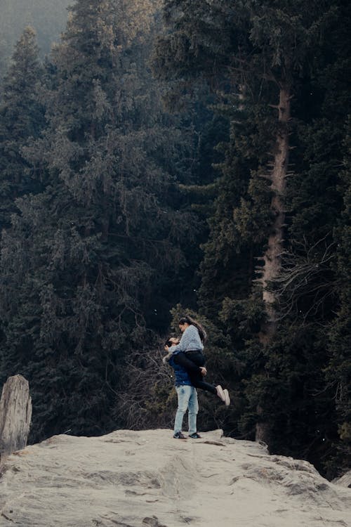 Foto d'estoc gratuïta de amor, bosc, dempeus