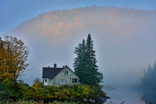 Základová fotografie zdarma na téma kanada, krajina, mlha