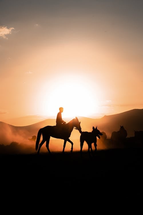 Silhouette of a Horseback Riding Man and a Dog on a Pasture at Sunset