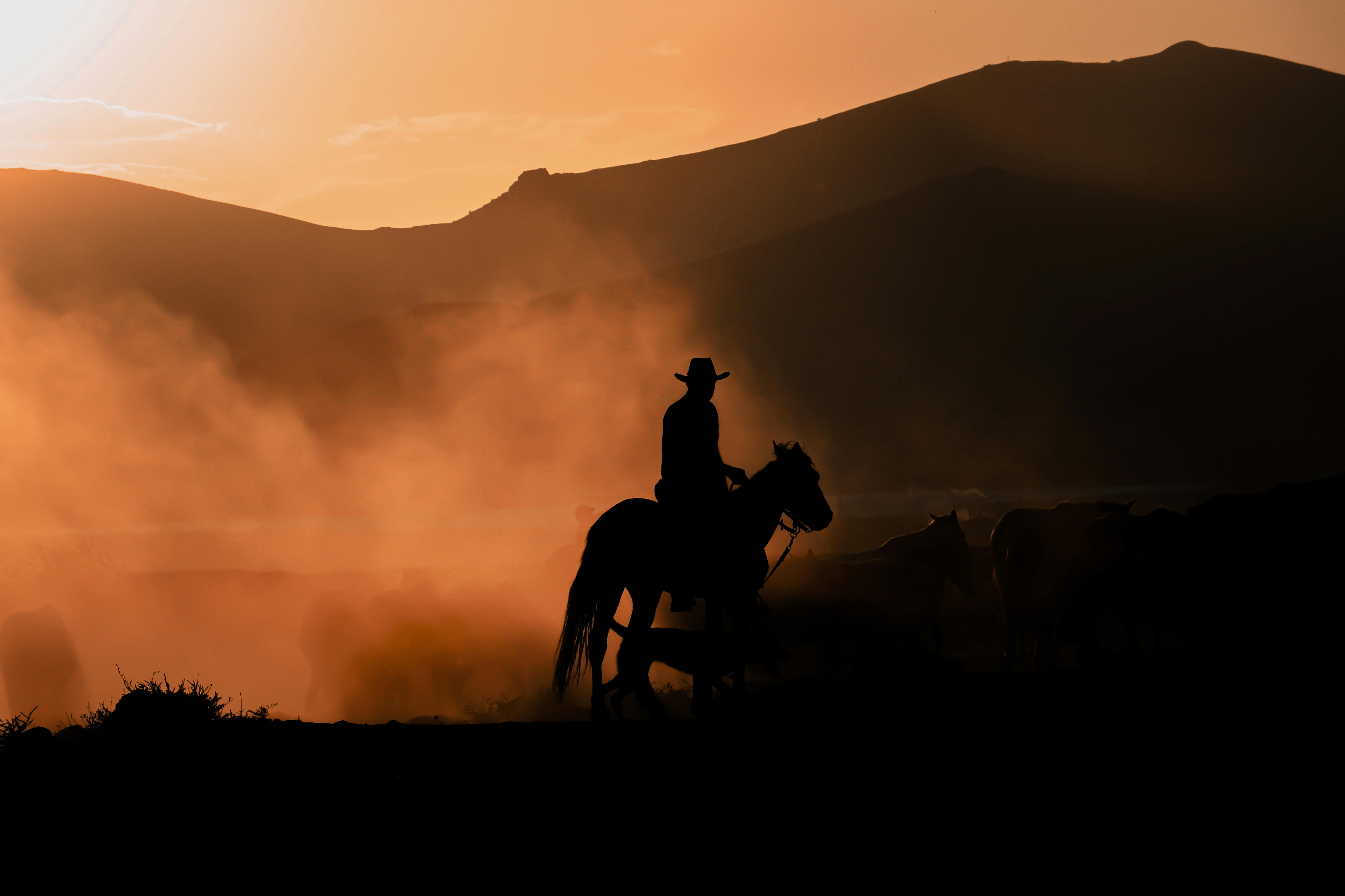 Silhouette of a horseback riding man on a pasture at sunset
