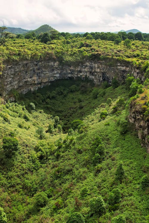 ECUADOR BOSQUES