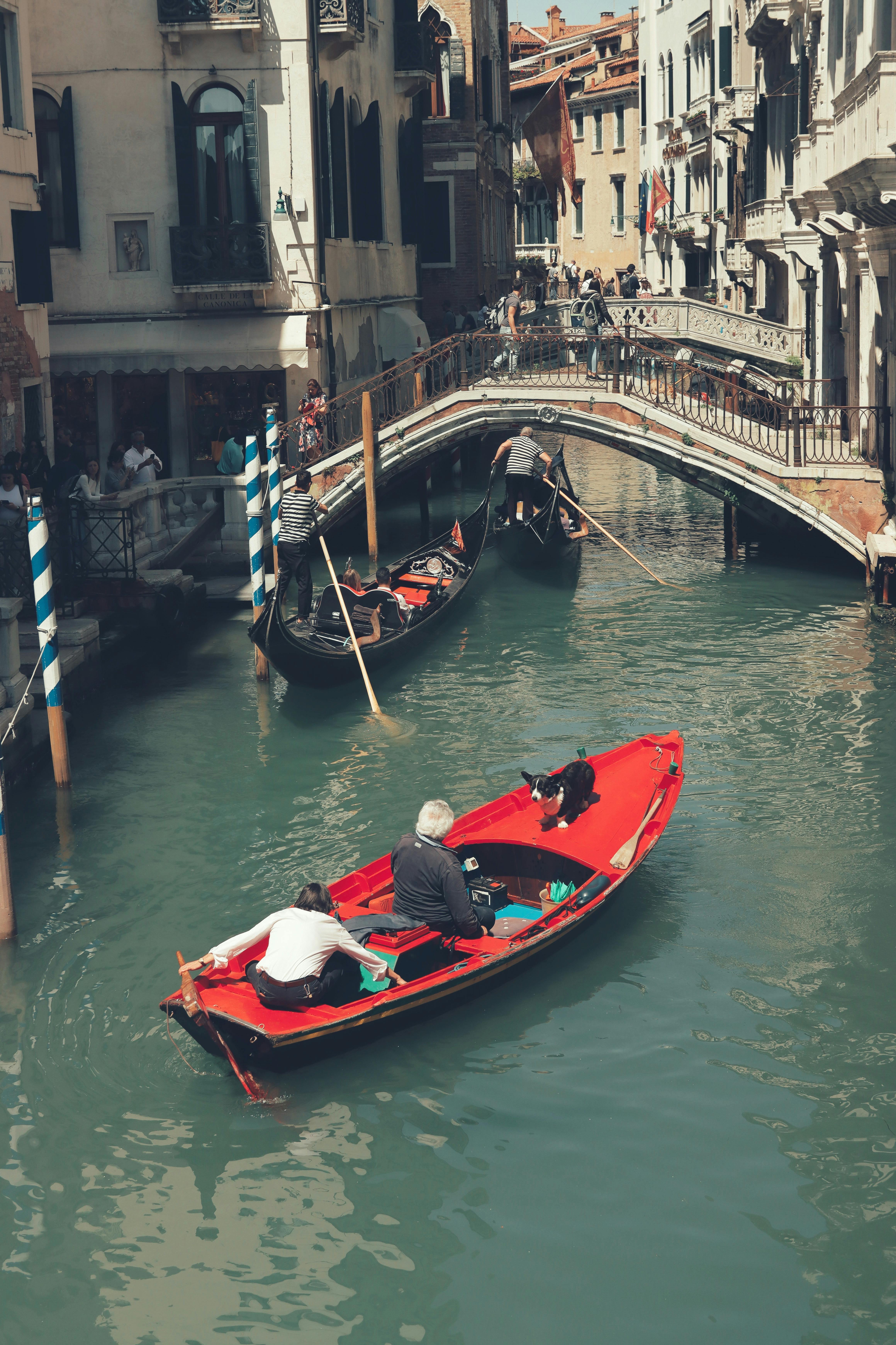 Venice 2026: Gondolas, Canals, and The Floating City Tips