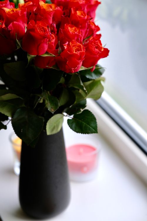 Free A stunning red rose bouquet in a black vase adds a pop of color to the windowsill. Stock Photo