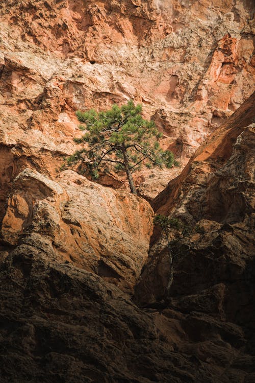 Gratis arkivbilde med canyon, erosjon, geologi