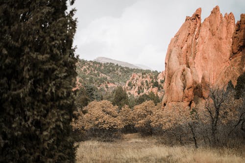 Cliffs in a Canyon 