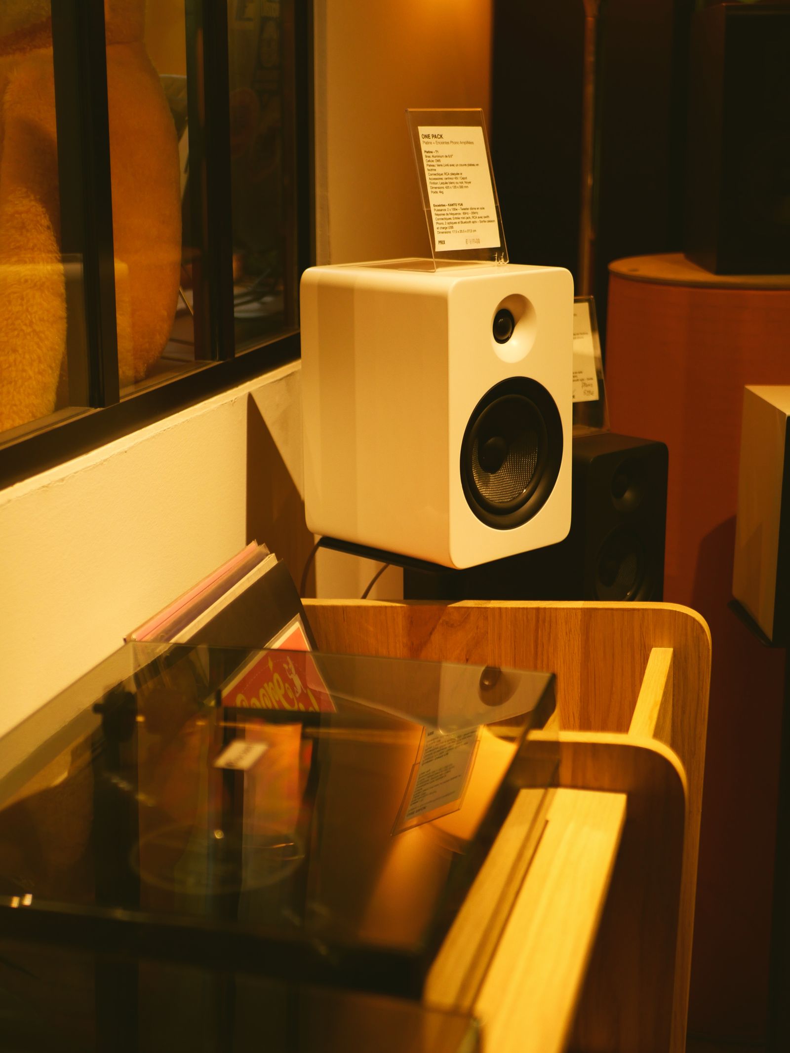 Speaker beside shelves of vinyl records in a stylish room.