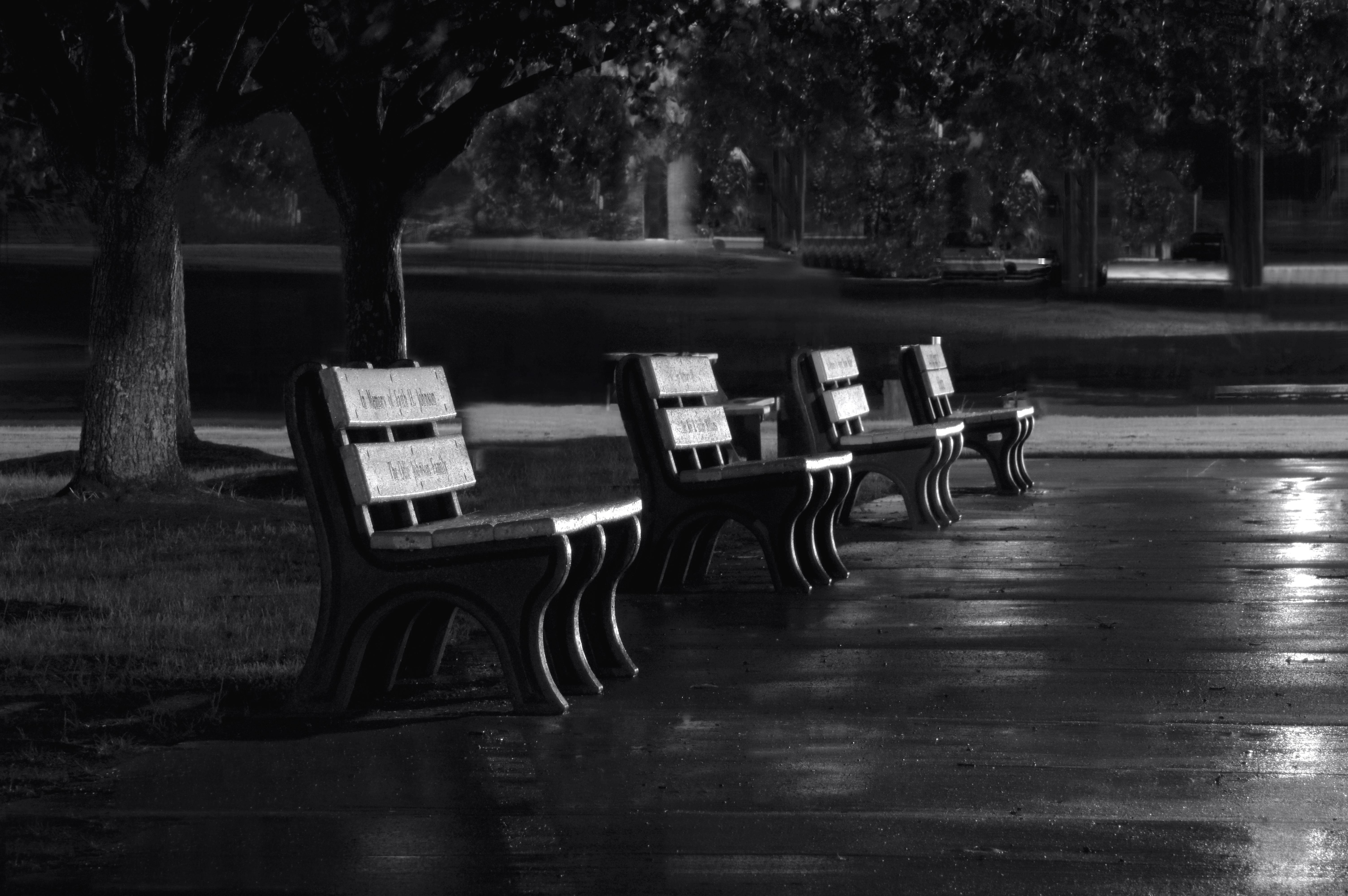 Free stock photo of black-and-white, park bench night art