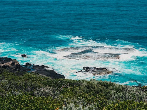 View of Waves Breaking on a Rocky Shore 