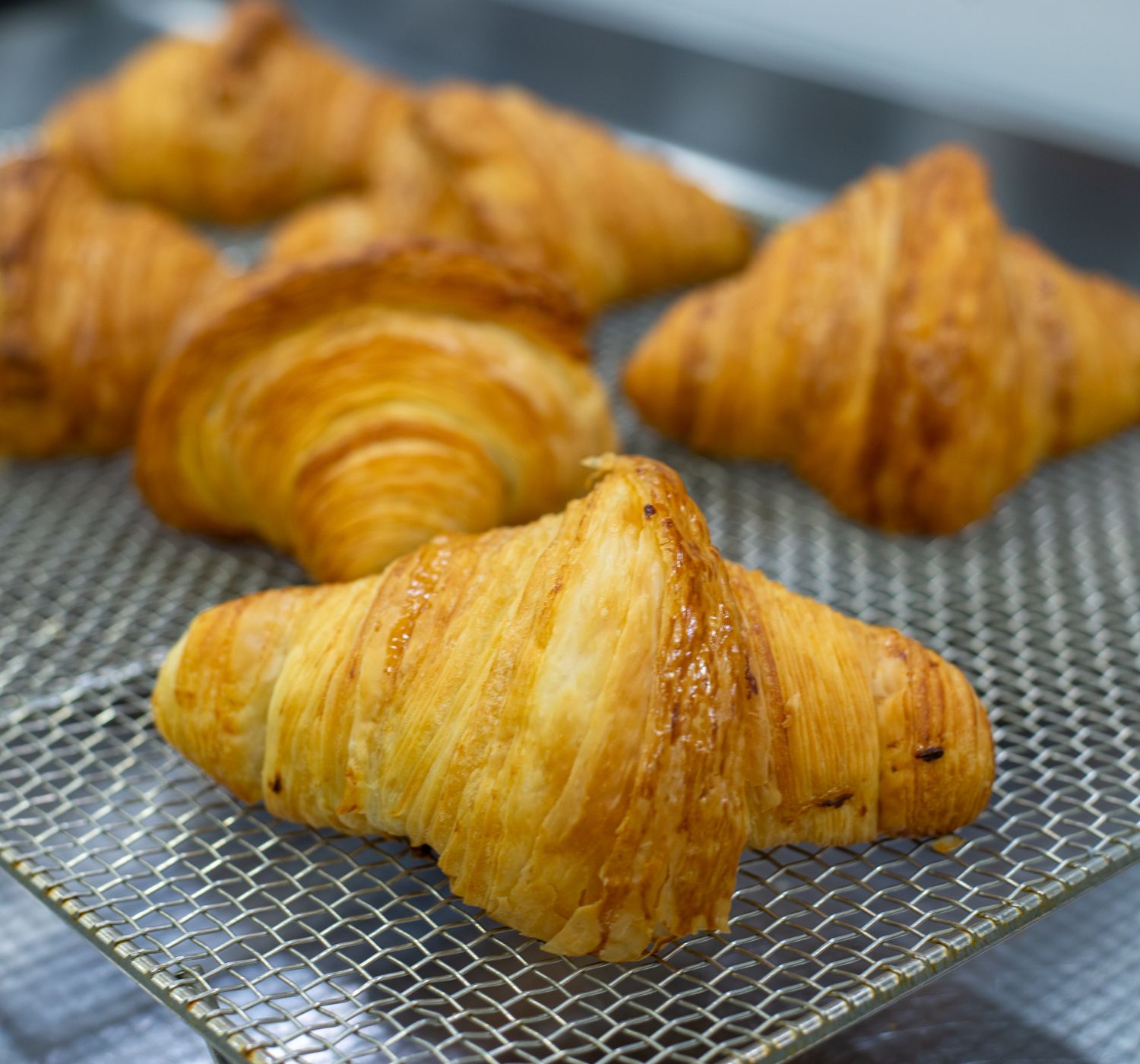 Delicious golden croissants on a cooling rack, showcasing perfect layers and flakiness.