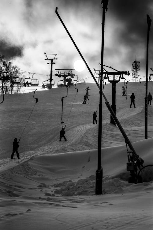 People Skiing in Winter in Black and White 