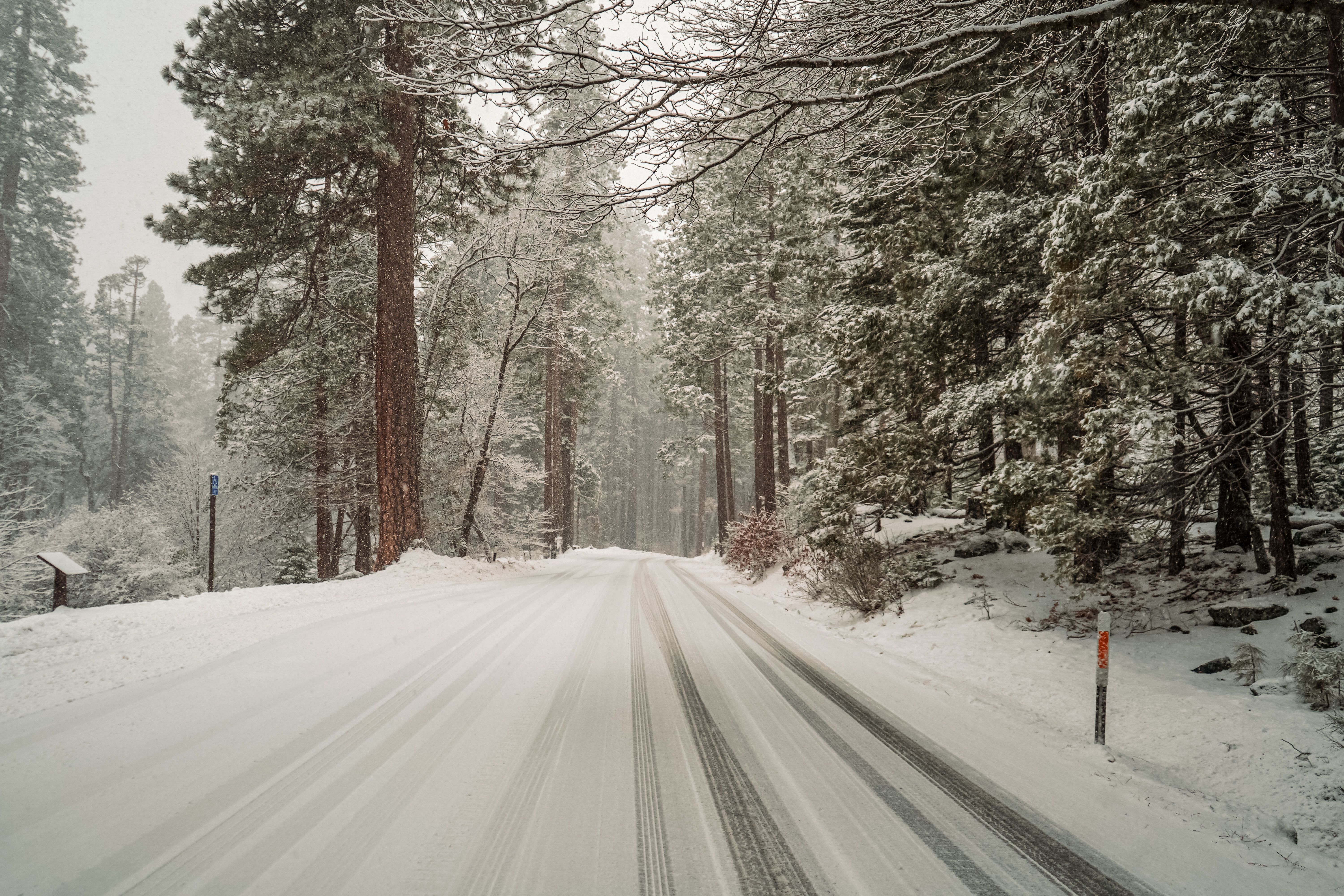 A snowy road with trees and snow on the ground · Free Stock Photo