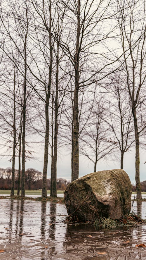 Rock in a Park