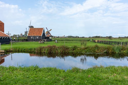 Foto d'estoc gratuïta de camp, estany, granja