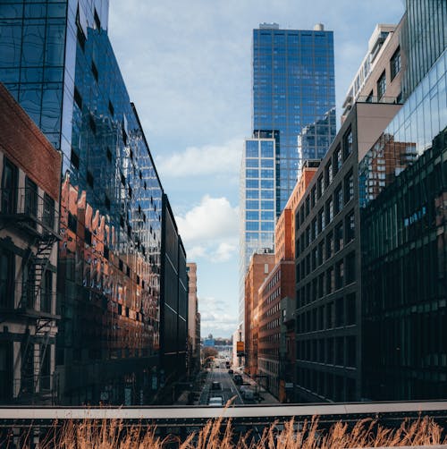 Glass Skyscrapers in a City 