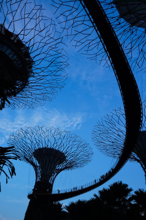 Bahçe, Botanik Bahçesi, Singapur içeren Ücretsiz stok fotoğraf