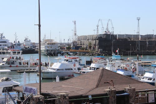 Marina with Luxury Yachts