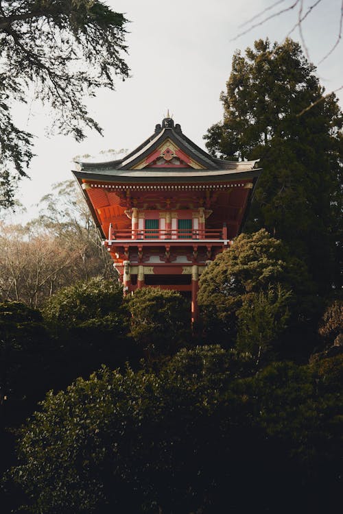 Trees around Building in Japanese Tea Garden in San Francisco