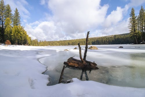 Пень на замерзшем озере 