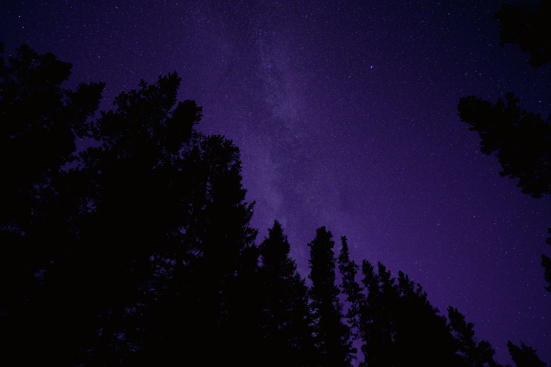 Bäume & Himmel im Universum – Beeindruckende Kosmos-Aufnahme