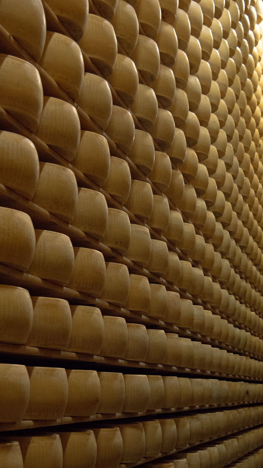 Wheels of Parmigiano-Reggiano aging on shelves