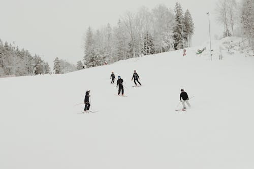 People Skiing on Ski Slope