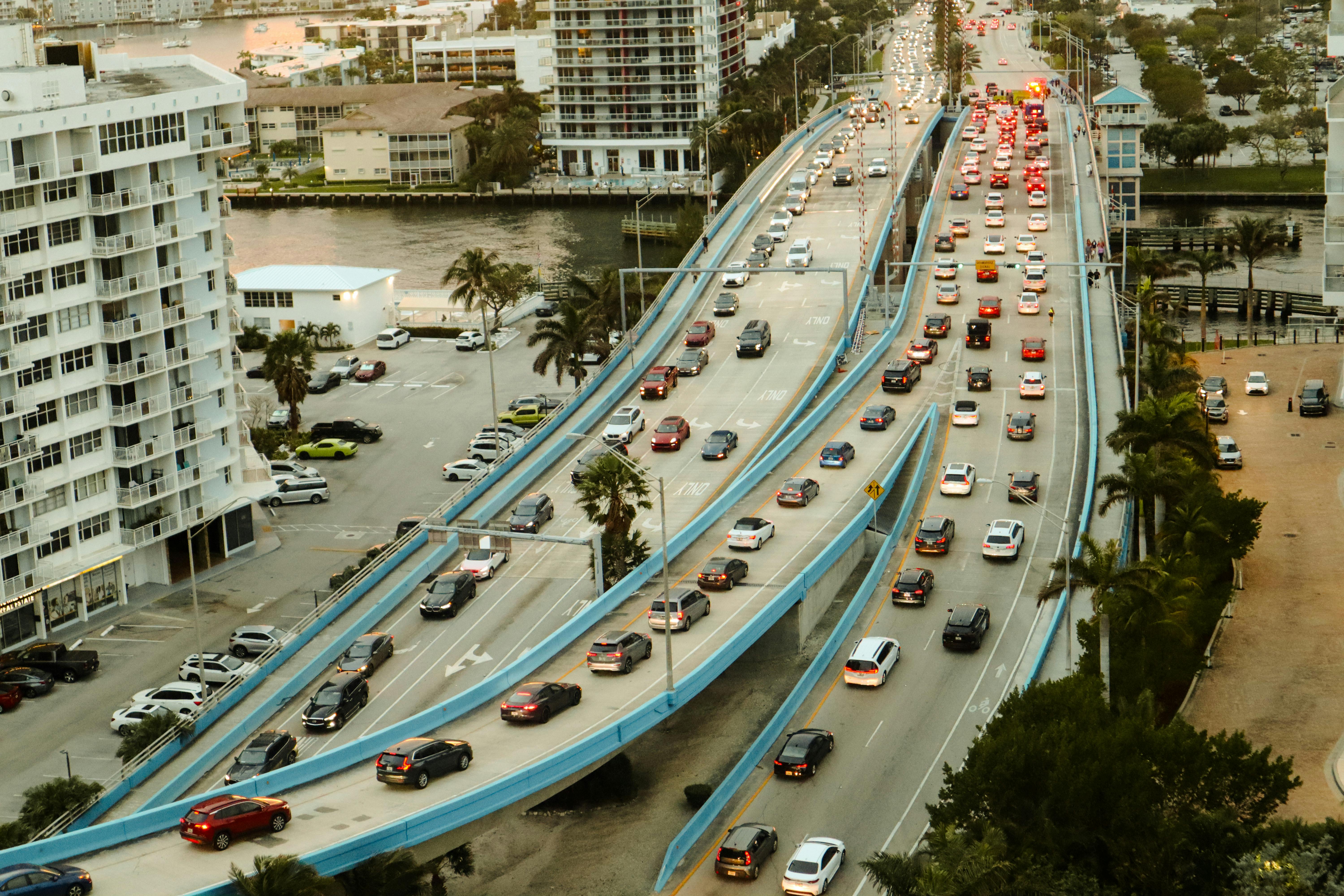 Florida removes sociology requirement from general education over bias concerns — Photo by Marina Stathakis on Pexels