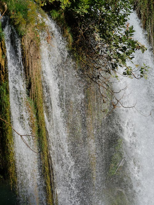 Flowing Water of Waterfall