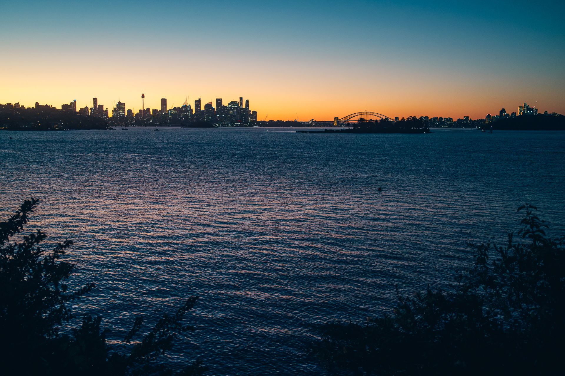 Sydney harbour cityscape skyline at calm dusk with lights