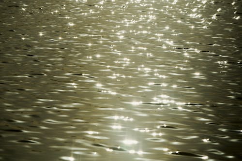 Shiny and Wavy Water Surface