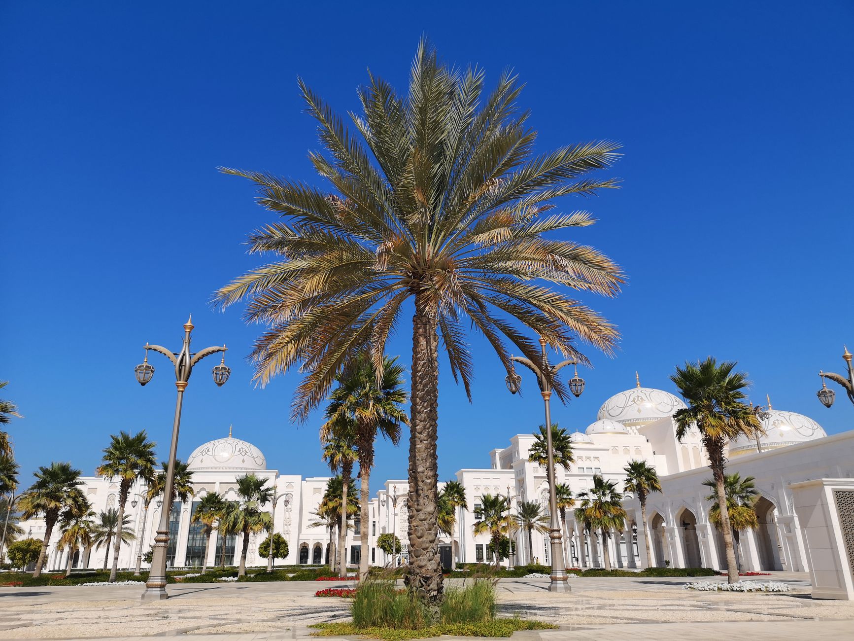 Best Botox Clinic Abu Dhabi 2026–2027 | Enfield Royal Khalifa City — Enfield Royal Clinic Khalifa City