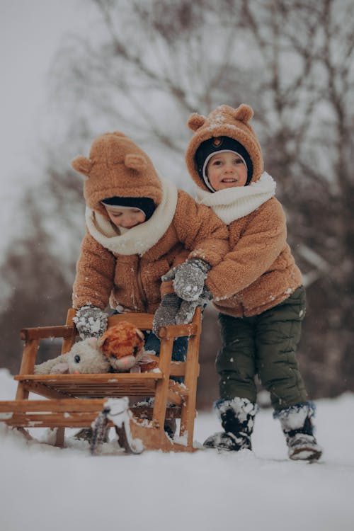 Foto stok gratis anak laki-laki, bermain, dingin